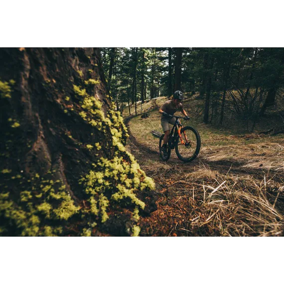 sekundární obrázek